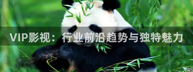98超碰在线观看：VIP影视：行业前沿趋势与独特魅力