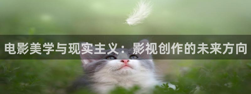 98影院大全：电影美学与现实主义：影视创作的未来方向