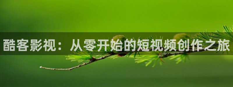 98年电影：酷客影视：从零开始的短视频创作之旅