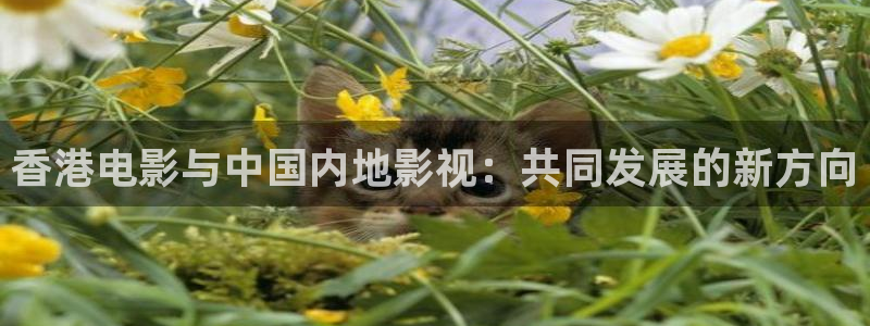 98神马电影院：香港电影与中国内地影视：共同发展的新方向
