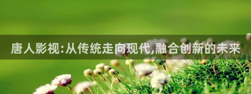 请回答1988电视剧免费观看全集完整版：唐人影视:从传统走向现代,融合创新的未来