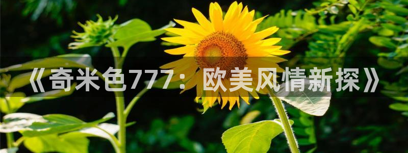 98影院怎么免费看剧：《奇米色777：欧美风情新探》