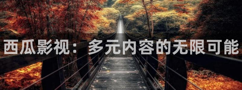 980影院电视剧全集免费：西瓜影视：多元内容的无限可能
