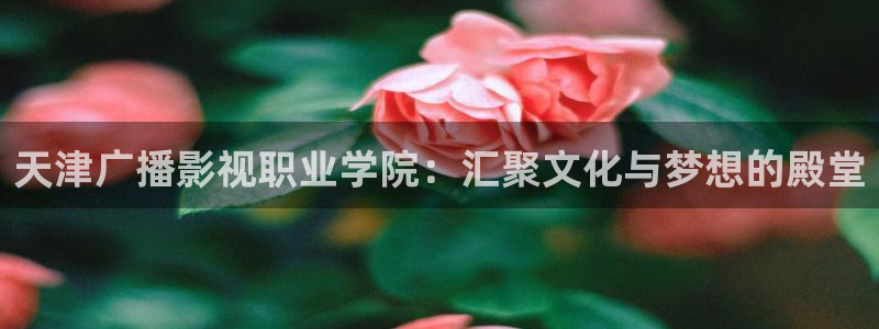 98剧场电视剧在线观看：天津广播影视职业学院：汇聚文化与梦想的殿堂
