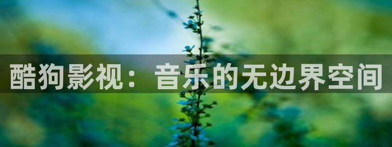 请回答1988全集高清免费观看：酷狗影视：音乐的无边界空间