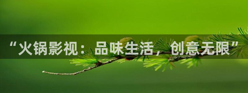 四虎影视9980y：“火锅影视：品味生活，创意无限”