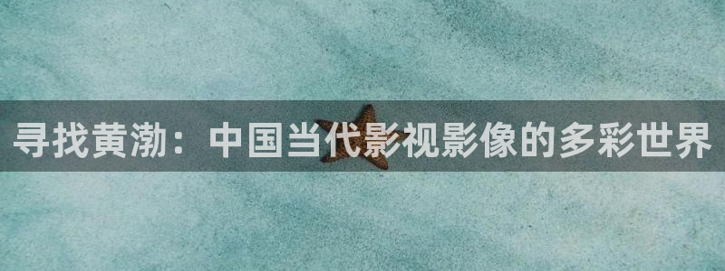 98影院在线观看免费播放电视剧：寻找黄渤：中国当代影视影像的多彩世界