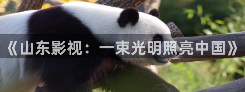 98影院伦理：《山东影视：一束光明照亮中国》