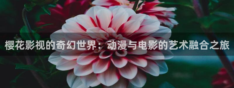 舍方知1988年完整版在线观看：樱花影视的奇幻世界：动漫与电影的艺术融合之旅